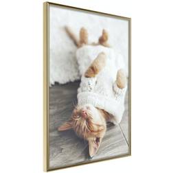 Arkiio Affisch Lazy Cat [Poster] 20x30 Poster